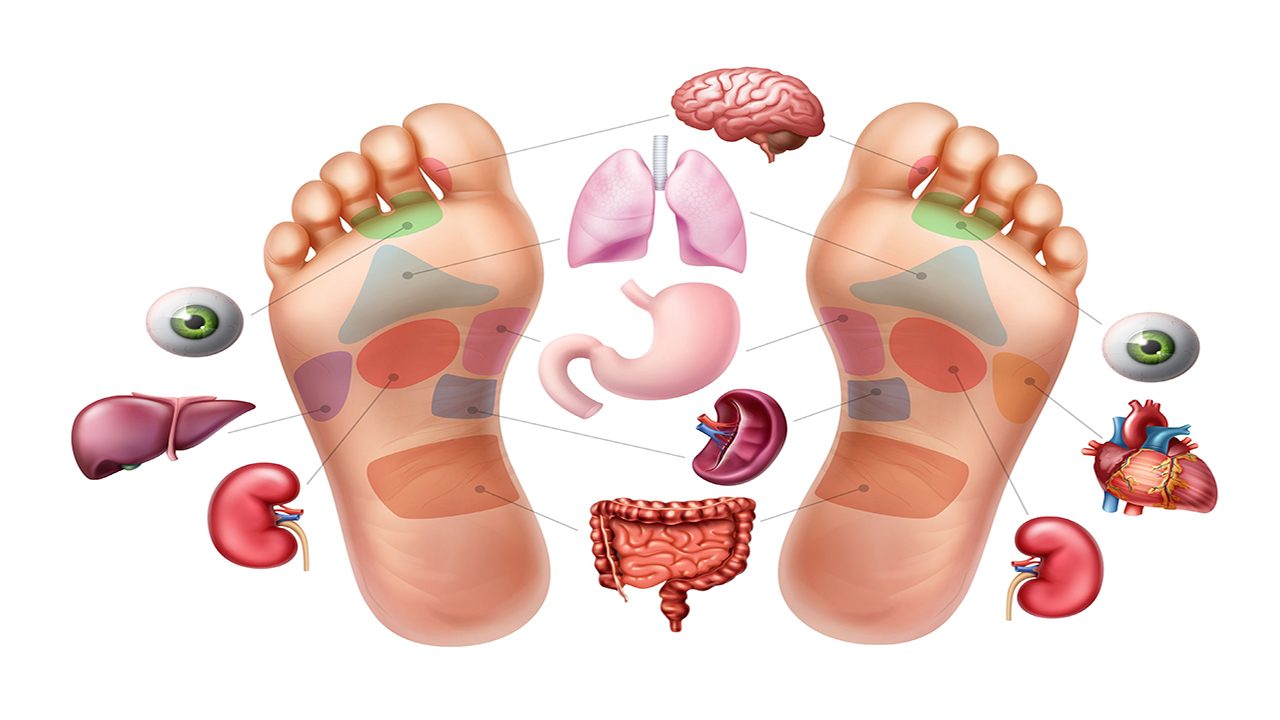 Shutterstock_Foot Glyphology